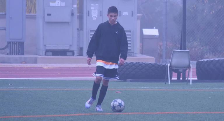 SOXDOX Gallery 3 950x516