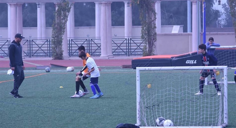 SOXDOX Gallery 5 950x516