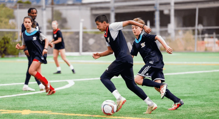 SOXDWD Gallery Image 950 x 516 px 4