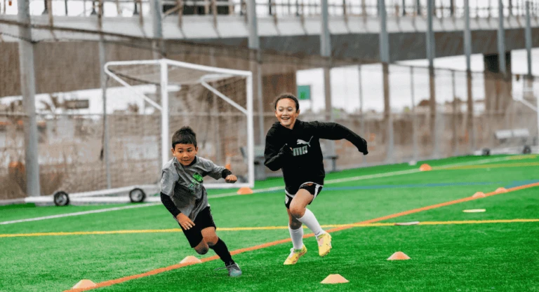 SOXDWD Gallery Image 950 x 516 px