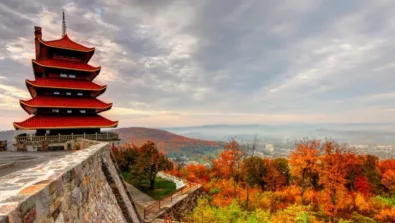 Alv Gallery Soccer Reading Papagoda