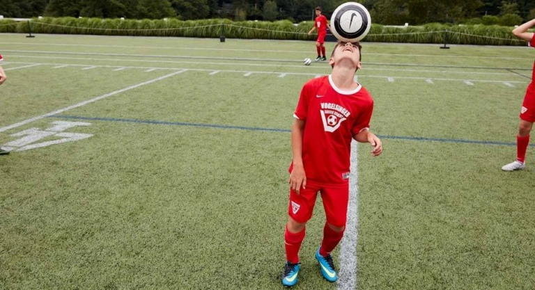 Soccer Gallery Focused