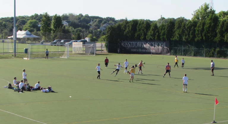 United Gallery Header