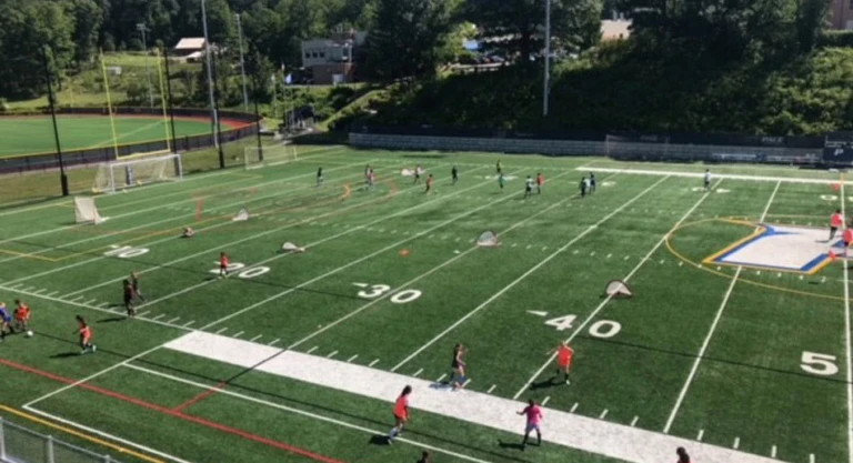 Pace Gallery Soccer Field Left