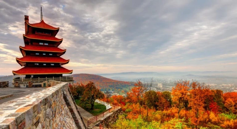 Alv Gallery Soccer Reading Papagoda