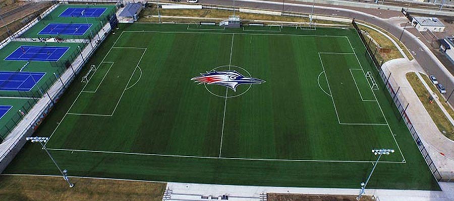 SOXDMS Field2 900x400