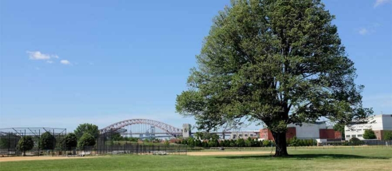 SOXDRA Facility Image 900x400