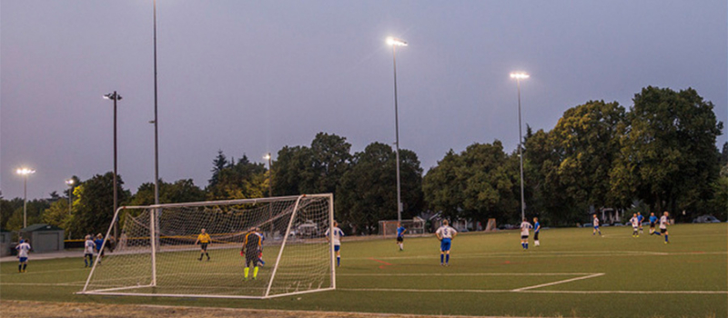 Woodland playfield 900x400