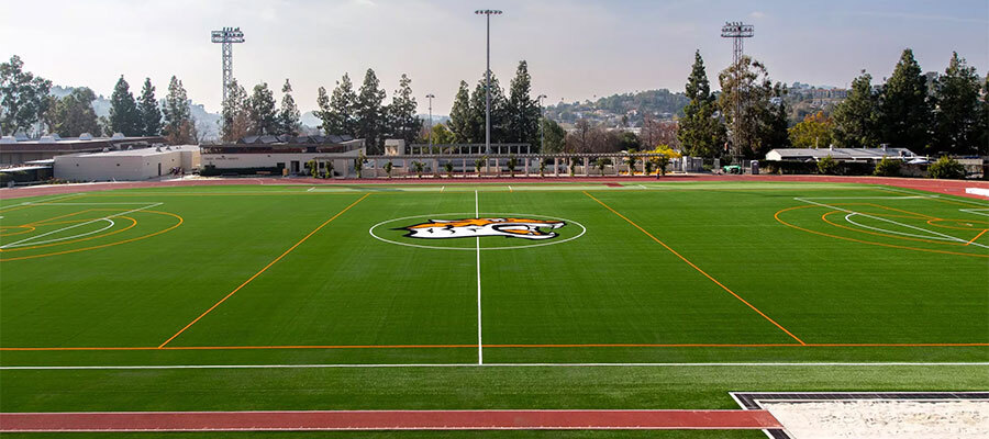 Patterson field 900x400