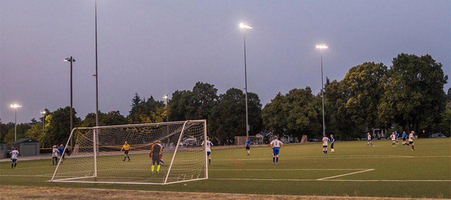Woodland playfield 900x400