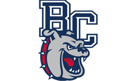 Bellevue Logo 250x160