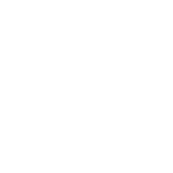 P1 P logo white sharpened250x250
