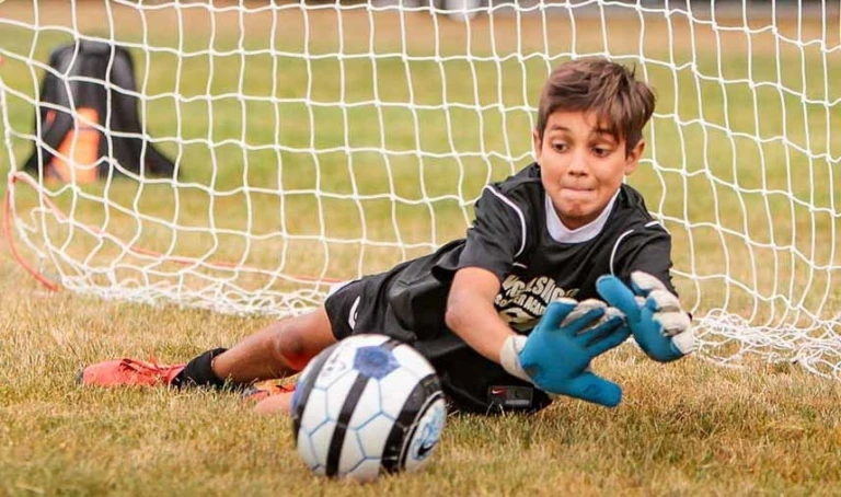 Feature Image For Vogel Pr