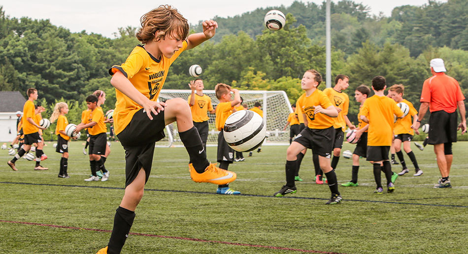 Vogel Gallery 950X515 5