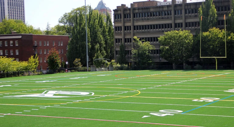 Stott Community Field 1