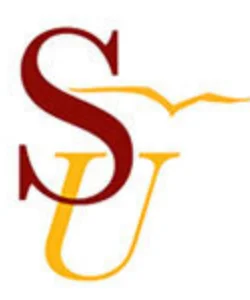 Salisbury University Softball Players - Camp Instructors