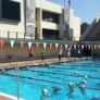 Stanford Swim Camp Ted Knapp Pool Deck