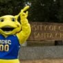 Santa Cruz Mascot
