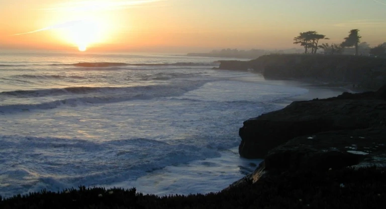 Santa Cruz View