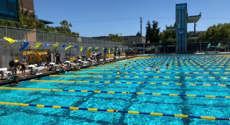 Cal Swim Camp Legends Aquatic Center Berkeley Ca