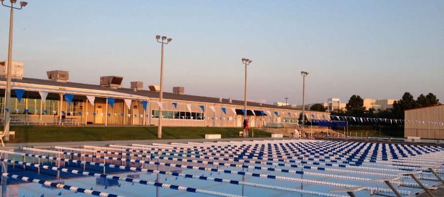 Peak Performance Swim Camp Ntc Orlando Fl