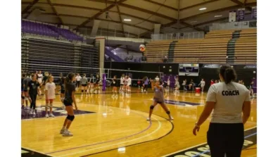 Portland Gallery Image 2