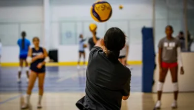 University of New Haven 2025 Gallery 3