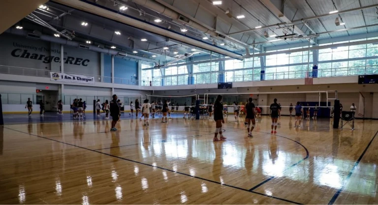 University of New Haven 2025 Gallery 4