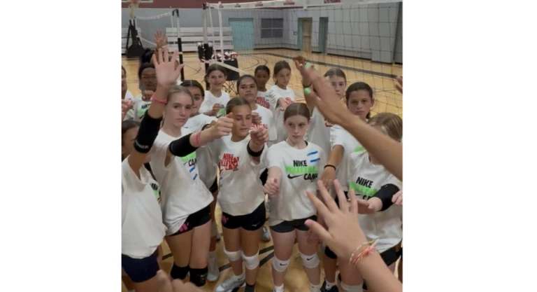 VOGDVT Gallery Image 2