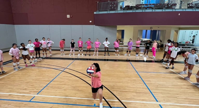 VOGDVT Gallery Image 3