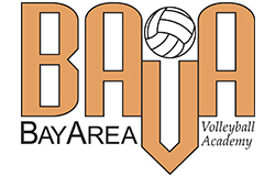 Bava Logo