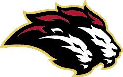 Pride logo Michaela Ahlenslager