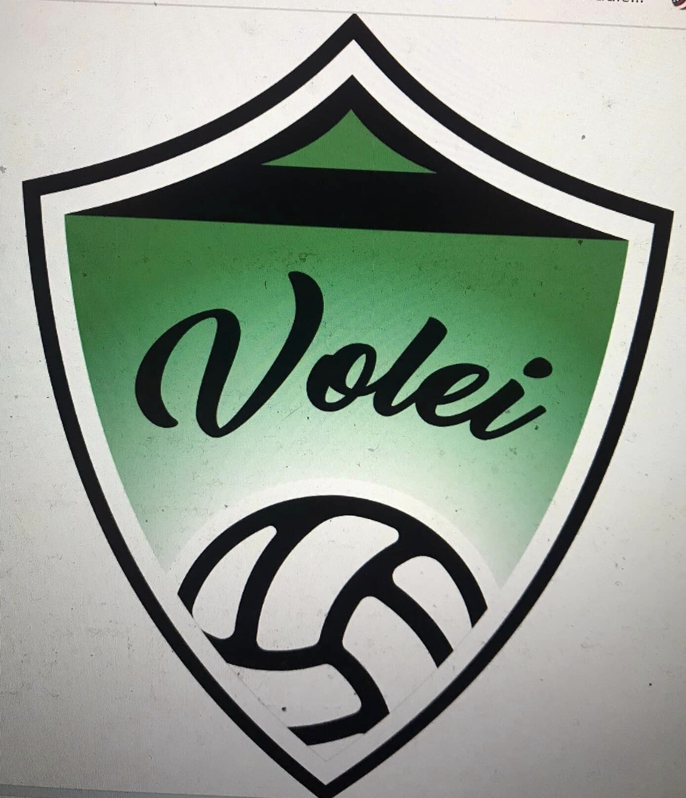 Volei logo Coach Vance