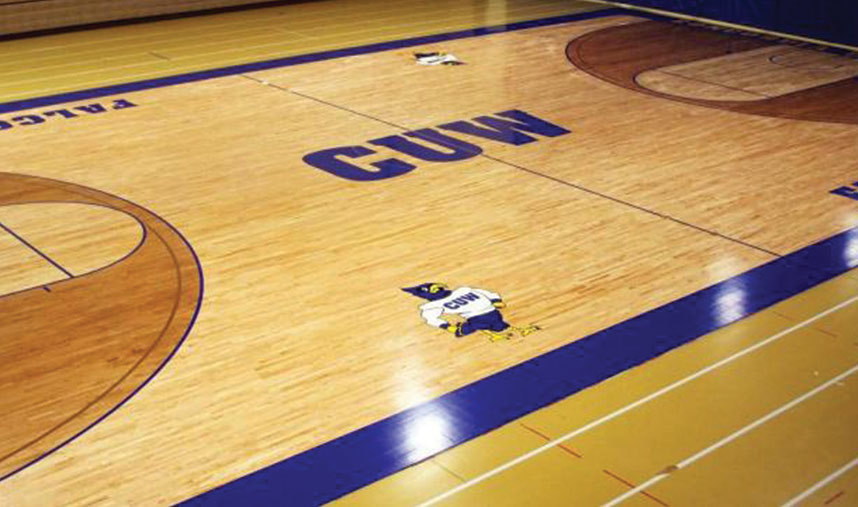 Volleyball camp concordia university wisconsin