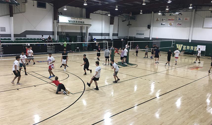 Webber international university summer volleyball camps