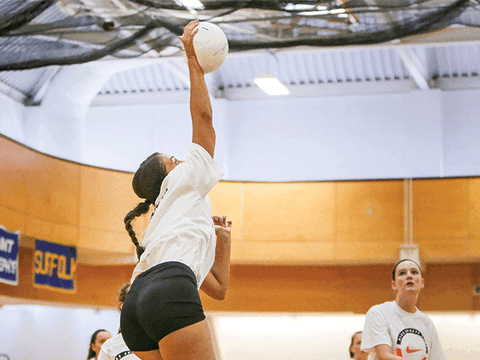 Powerful Volleyball Hitter