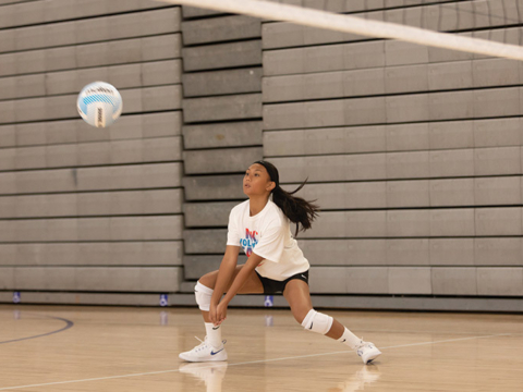 Volleyball positions