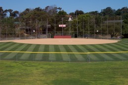 San Diego City Fields Thumb