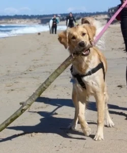 Penny Ritter - Staff