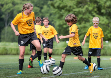 Ussc Vogelsinger 1118 Web