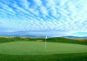 University Of Montana