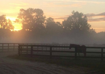 Running Trail Resize For Pr