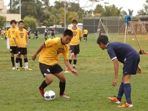 Vogelsinger Slideshow 39