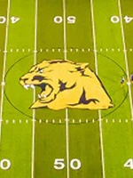 Whitmer Stadium Header