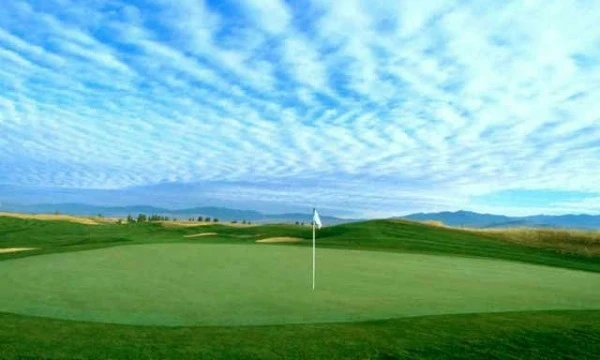 University Of Montana