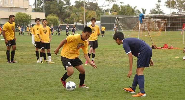 Vogelsinger Slideshow 39