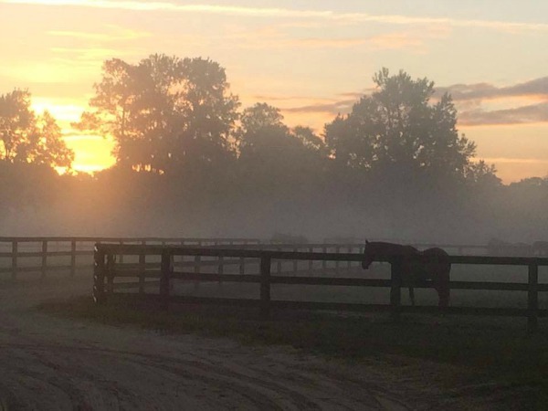 Running Trail Resize For Pr